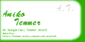aniko temmer business card